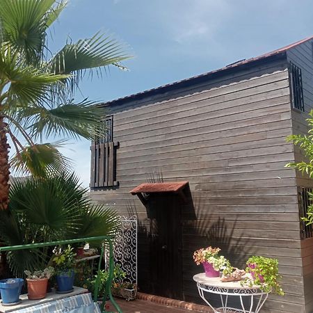 La Cabana Nevada Cenes De La Vega Bagian luar foto